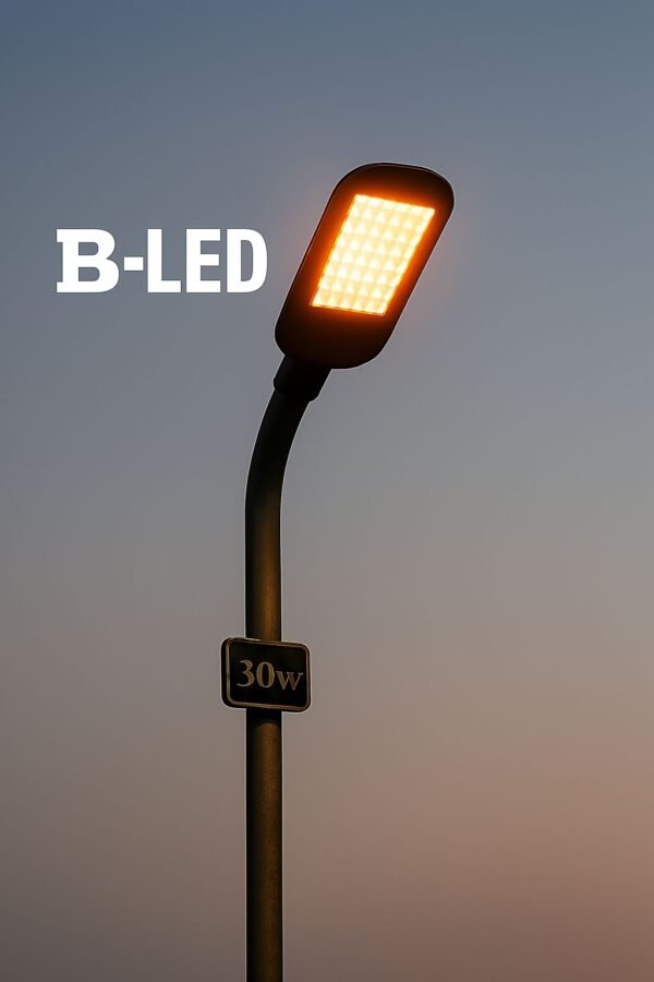 B-LED 30W STREET LIGHT COOL WHITE 220V A/C